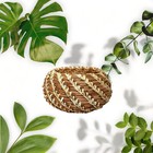 Pine Needle Basket Weaving Kit - Complete Set With Instructional Booklets And Su