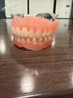 Vintage Dentures Dental Display 