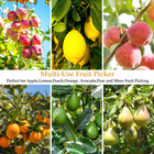 Fruit Picker Pole With Basket Telescoping -adjustable 11 5ft Apple Picker Pole W