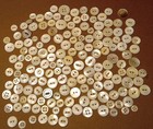 Lot Of 160 Mother Of Pearl Shell Buttons Small 2 Hole Sew Through