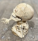 Miser Skeleton Skull Cast Iron Mechanical Coin Bank  6 5    Tall