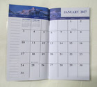 2  Year Pocket Calendar 2027-2028 - Cat Design  - 4 In X 6 75 In - Free Shipping