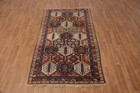 Vegetable Dye Garden Design Traditional Style Rug 4x8 Ft Hand-knotted Wool