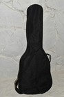 Fender Fa-100 Parlor Acoustic Guitar Great Condition With Case   gvh85 