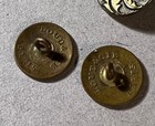 Vintage Brass Metal Buttons 2 Loud   Cie Paris Heron Egret   14 Shell Ornate Sew