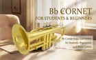 Bb Cornet Brass Instrument  B Flat Nickel Plated With Mouthpiece  Carrying Case