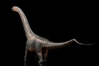 Haolonggood 1 35 Argentinosaurus Figure Animal Dinosaur Collections Model Toys