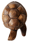 Small Acacia Wood Carved Turtle