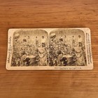 Vintage Stereoview Black Workers In  Cotton Field Post Civil War Georgia