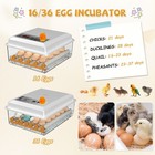 16 Eggs Incubator Digital Hatcher Temperature Control Fully Automatic Turning Us