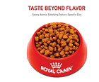 Royal Canin Breed Health Nutrition Yorkshire Terrier Adult Dry Dog Food  10 Lbs 
