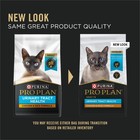 Adult Urinary Tract Health Chicken And Rice Formula Dry Cat Food  3 5 Lb  Pack