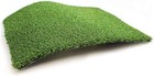 Golf Putting Green - Artificial Grass Turf 5ft X 10ft  Indoor outdoor Training M