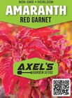 Red Garnet Amaranth Seeds   Heirloom   Non-gmo   Fresh Garden Seeds