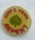 Pin Set Vintage Ski Resort Lapel Pins From Colorado And Utah 10 Pcs 