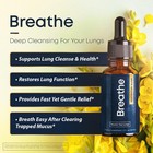 Breathe 8-in-1 Mullein Drops For Lungs   Airways  1 Fl  1 Fl Oz  pack Of 1 