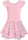 Ballet Leotards For Girls Dance Skirted Leotard Kids Ballet Tutu Dress Toddler S