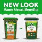 Greenies Cat Treats  Feline 1 31 Pound  pack Of 1   Chicken 