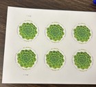 Usps Global Green Succulent Booklet Pane Of 10 Stamps Scott   5198  mnh 