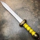 Gladius Roman Sword Fixed Blade Dagger Gladiator Medieval Renaissance Knife