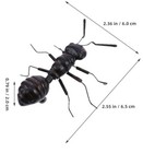 Asian Exotic Crematogaster Biroi Desktop Display Ant Art Queen 60-100w Figurines