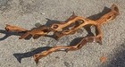 Large Driftwood Manzanita Aquascape Aquarium Terrarium Bonsai  26   8   5  