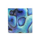 10x Abalone Inlay 3 4 x3 4 x 1 16   20x20x1 5mm  Craft
