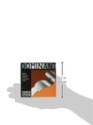 Thomastik-infeld 135b 34 Dominant Violin Strings Set 3 4 Size