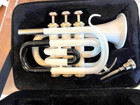 Brass Black   White Bb Flat Pocket Trumpet W  Case   Mouthpiece Free Shipping 
