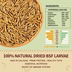 Bulk Dried Mealworms For Wild Birds Food Blue Bird Chickens Hen Treats Wholesale