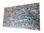 1x Abalone Veneer Inlay 9-1 2 x5-1 2 x1 64   240x140x0 2mm  Sheet Luthier