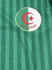 Algeria National Team Soccer Jersey Shirt Green Size S xl Fanversion 