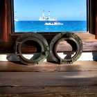 Antique Pair Of 11 1 2    Wilcox Crittenden Bronze -brass Portholes