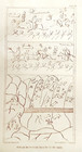 1847 Lithograph Siberian Inscriptions Of Chase By Seth Eastman For Us Congress