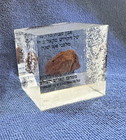 Rare Judaica Relic  Authentic Stone From The 200-year-old Kaliv Beit Midrash