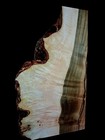 Xl Mind Blowing Blue Sawn Maple Burl Wood Blanknambrosia Maple Curly Maple Burl 