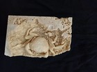 Huge Travertine Crab Fossil  9cm By 14cm Fossil Travertine Crab Potamon