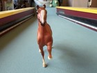 Breyer Molding Morgan Stallion Figure Horse Figurine Chestnut Jcpenney 1989 Vtg