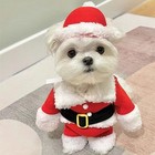 Puppy Clothes Pet Dog Cat Xmas Costume Christmas Gift Santa Outfit Cosplay Suit