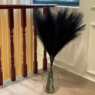 Black Pampas Grass  9 Pcs 37   3 1ft Tall Fluffy Fake Pompas Floral  Large Ar   