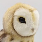 Bh7644 Hansa Barn Owl 27