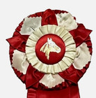 Vintage 1981 Horse Show Ribbon Canton Ohio Tri County Fun Show Red 6  Rosette