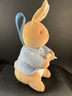 Eden Easter Plush Beatrix Potter Peter Rabbit Rattle Crib Toy Baby Bunny Stuffed