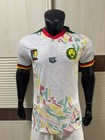 Fourteen Cameroon Soccer Jersey Multicolor Black White Green Men s Fan Shirt