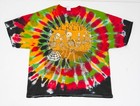 Vintage Northwest Folklife Band Tee Mens Size 2xl Grateful Dead Tie Dye Skull