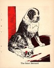 Sweet Vintage Saint Bernard Print 1940 Diana Thorne Dog Wall Art 5638g