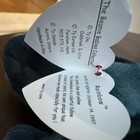 Rainbow The Iguana Ty Beanie Baby  1997 P e  Pellets Retired W  Multiple Errors