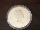 Royal Canadian Mint Proof Dollar 1991  500 Original Box
