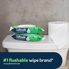 Cottonelle Gentleplus Flushable Wipes With Aloe   Vitamin E  336 Total Wipes