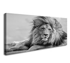 Yyyyhpp Yp0975 Wall Art In Black And White Canvas Wall 59 l X 29 w Brown Lion